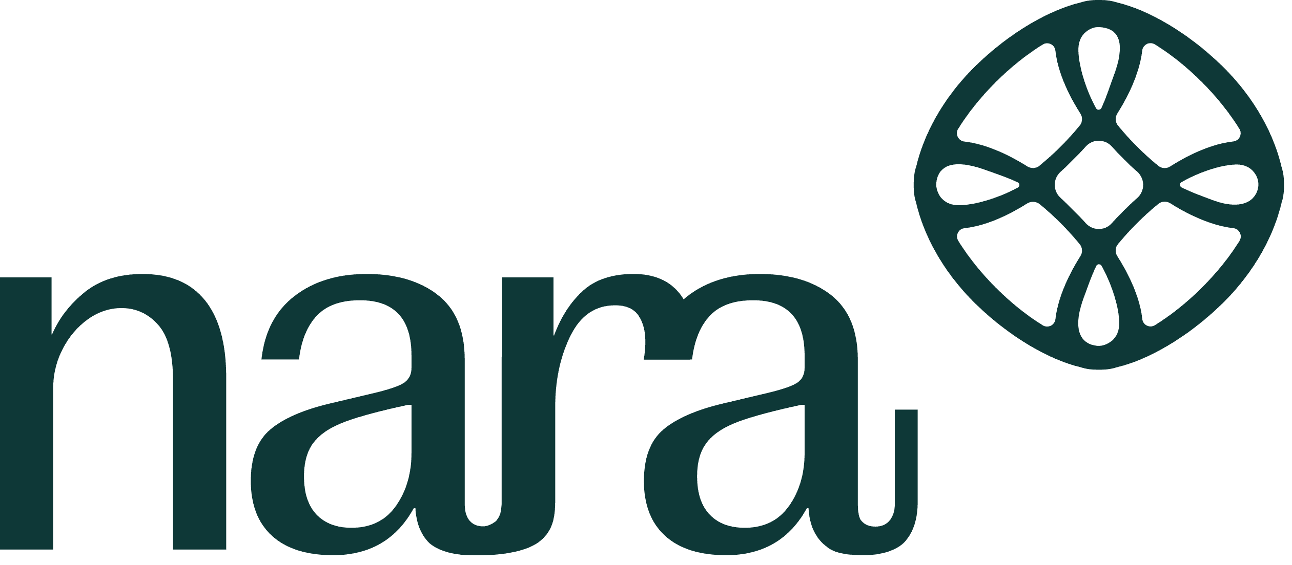 Nara Health logo